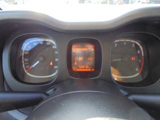 FIAT Panda usata 33