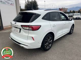 FORD Kuga usata, con Airbag Passeggero