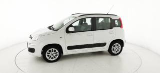 FIAT Panda usata 42