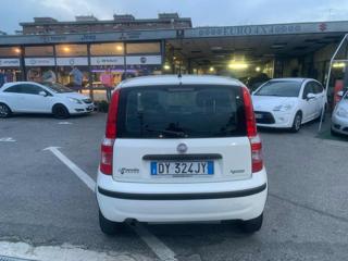 FIAT Panda usata, con Servosterzo