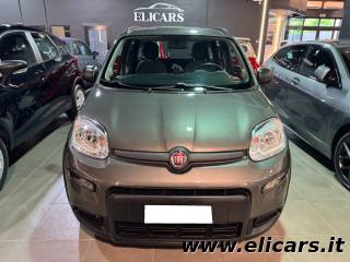 FIAT Panda usata, con Antifurto