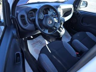 FIAT Panda usata, con Airbag testa