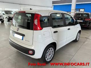 FIAT Panda usata, con Alzacristalli elettrici
