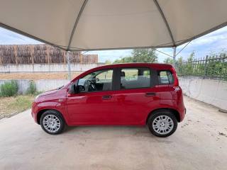 FIAT Panda usata, con Alzacristalli elettrici