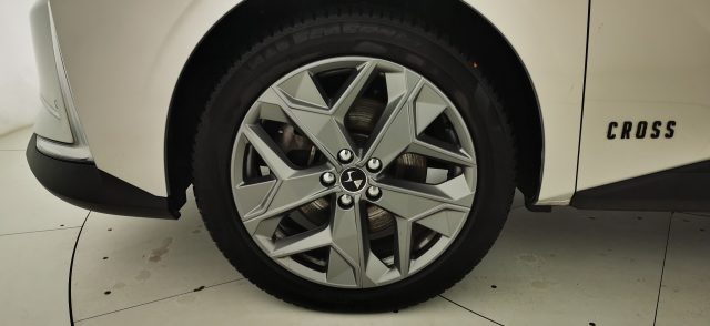DS AUTOMOBILES DS 4 usata, con Volante in pelle