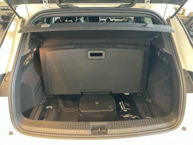 RENAULT Austral usata 22
