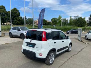 FIAT Panda usata 20