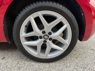 SEAT Ibiza usata, con Fendinebbia