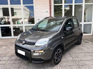 FIAT Panda usata 2