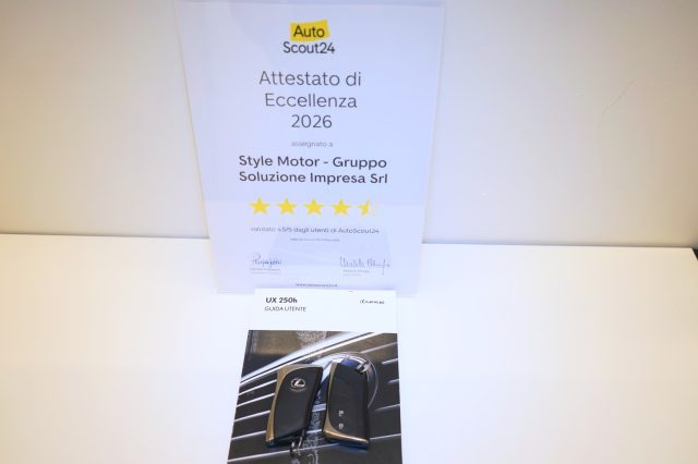 LEXUS UX 250h usata, con Park Distance Control
