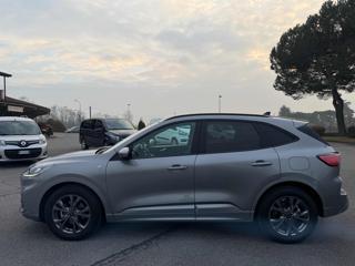 FORD Kuga usata, con Cerchi in lega
