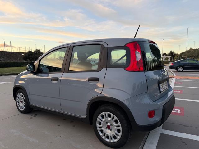 FIAT Panda usata 31