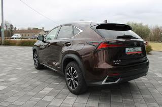 LEXUS NX 300h usata, con Alzacristalli elettrici