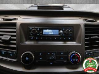 FORD Transit usata 16