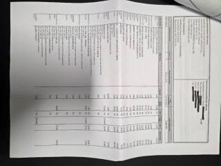 LAND ROVER Discovery usata, con Airbag testa