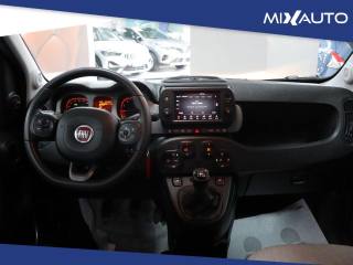 FIAT Panda Cross usata, con Climatizzatore