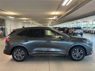 FORD Kuga usata, con Controllo trazione