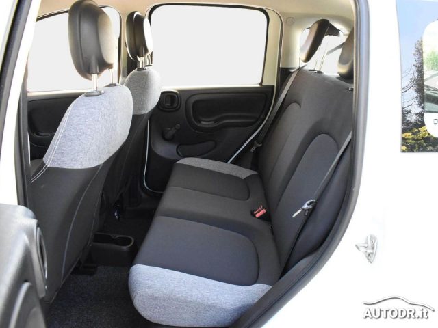 FIAT Panda usata 33