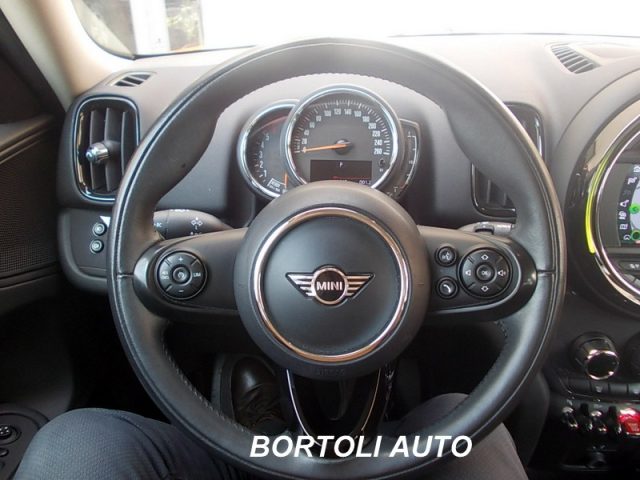 MINI Countryman usata, con Cronologia tagliandi