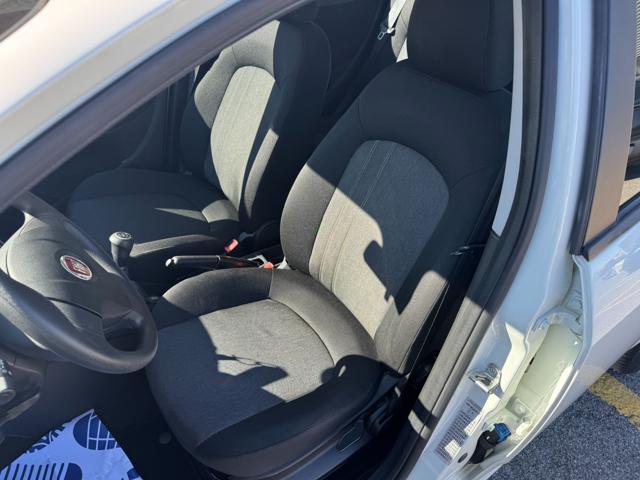 FIAT Punto usata, con Fendinebbia