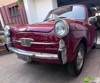 AUTOBIANCHI Bianchina usata 47