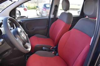FIAT Panda usata, con Climatizzatore