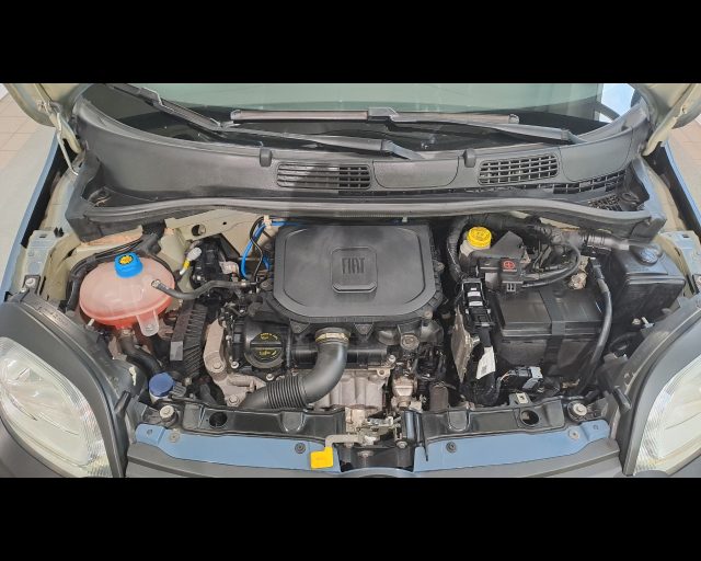 FIAT New Panda usata 22