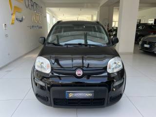 FIAT Panda usata, con Controllo trazione
