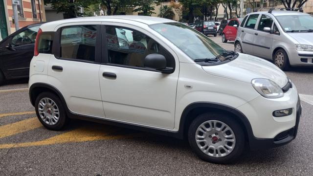 FIAT Panda usata, con Airbag Passeggero