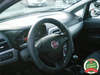 FIAT Punto usata 12