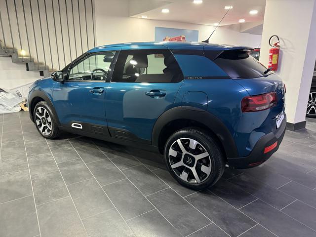 CITROEN C4 Cactus usata, con Cerchi in lega