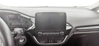 FORD Fiesta usata 44