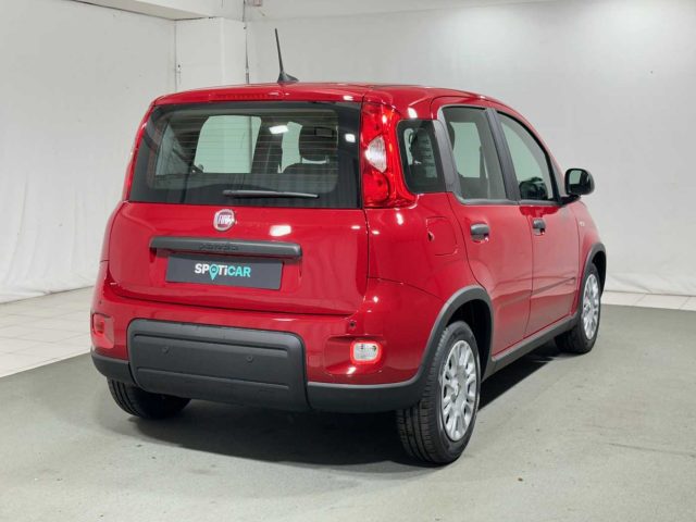 FIAT Panda usata, con Chiusura centralizzata