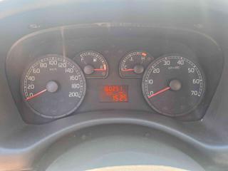 FIAT Punto usata 22