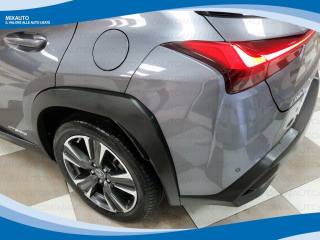 LEXUS UX 250h usata, con Fendinebbia