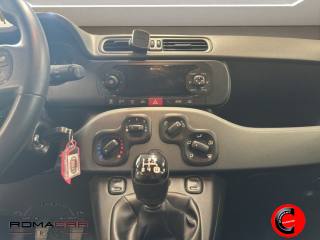 FIAT Panda usata, con Volante multifunzione