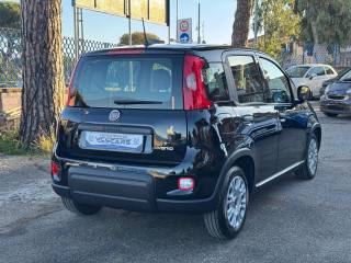 FIAT Panda usata, con Alzacristalli elettrici