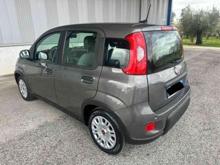 FIAT Panda usata, con ESP