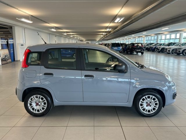 FIAT Panda usata, con Climatizzatore