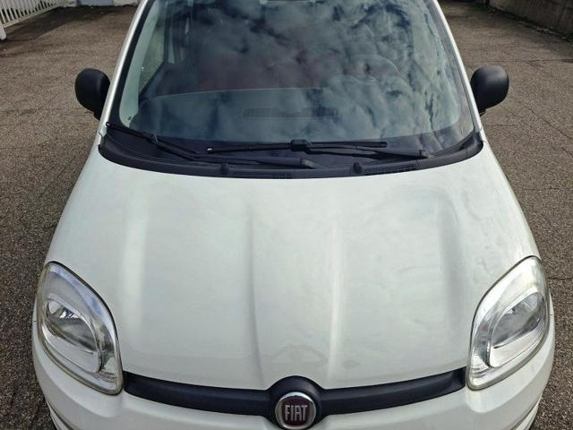 FIAT Panda usata 31