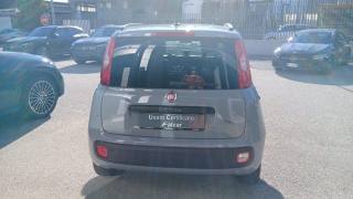FIAT Panda usata, con Servosterzo