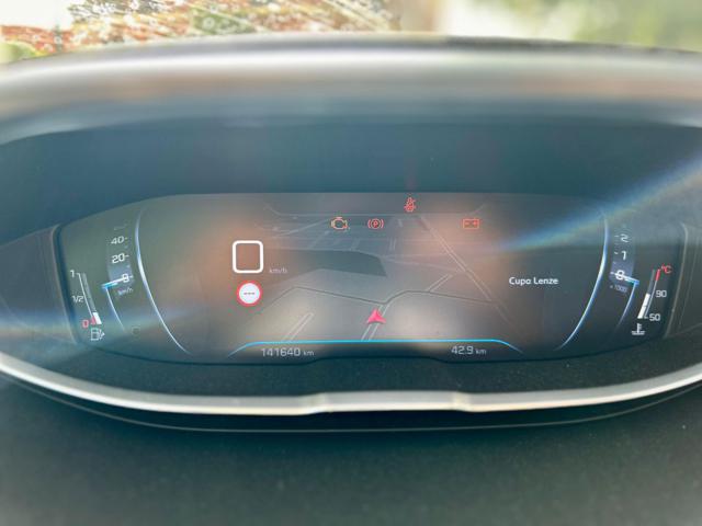 PEUGEOT 3008 usata, con Servosterzo