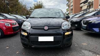 FIAT Panda usata, con Airbag Passeggero