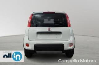 FIAT Panda usata 3