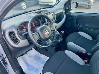 FIAT Panda usata, con Airbag testa