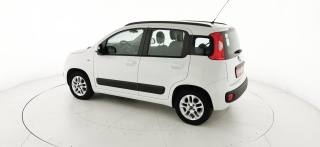 FIAT Panda usata 47