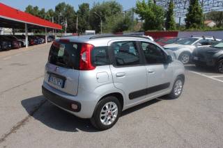 FIAT Panda usata 18