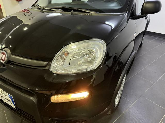 FIAT Panda usata, con Airbag Passeggero