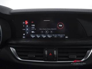 ALFA ROMEO Stelvio usata 13