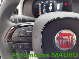 FIAT Panda Cross usata 17